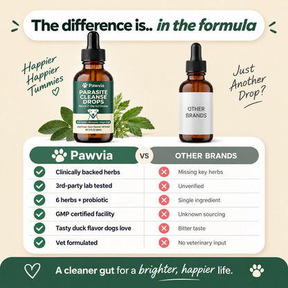 Parasite Cleanse Drop